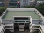 Bituline Tropica TP40M green terrace project 2