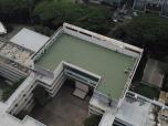 Bituline Tropica TP40M green terrace project 1