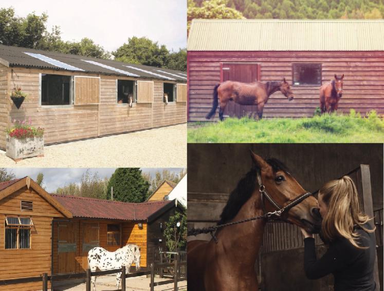 Onduline roofing sheets are ideal for horse stable